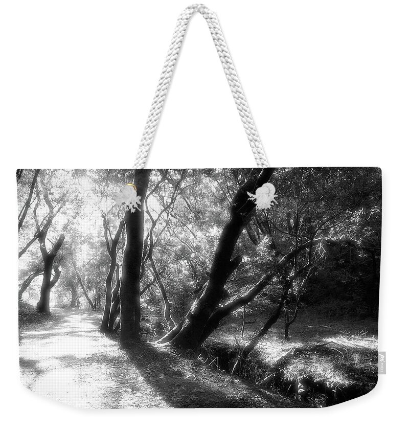 Country Road Weekender Tote Bag featuring the photograph Deer Park Fire Road, Fairfax CA by John Parulis