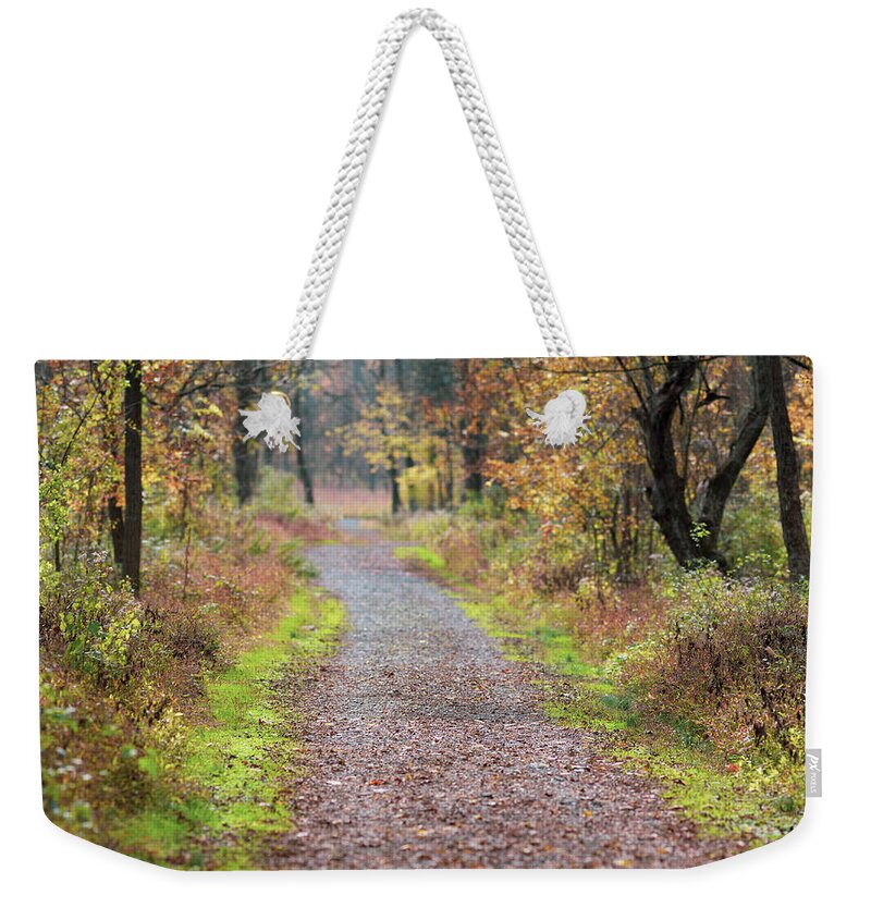 Trails Weekender Tote Bag featuring the photograph Delaware Water Gap NPS - McDade Trail in Autumn by Amelia Pearn