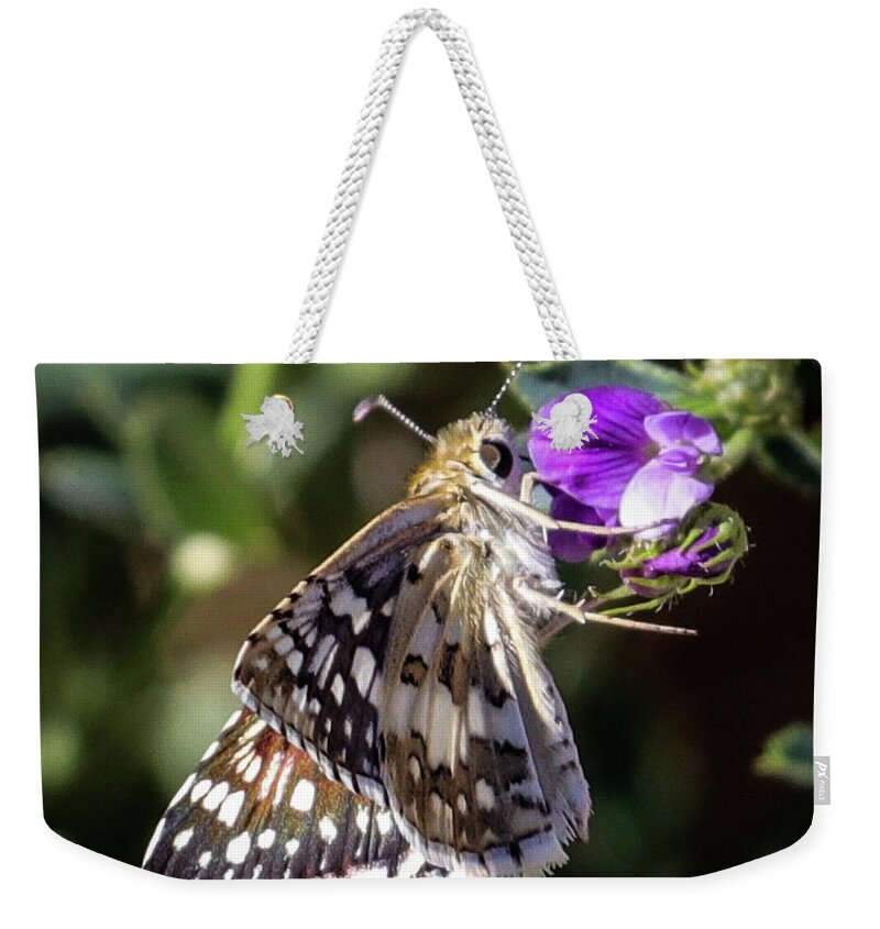 Butterfly Weekender Tote Bag featuring the photograph Delicate Beauty by Laura Putman