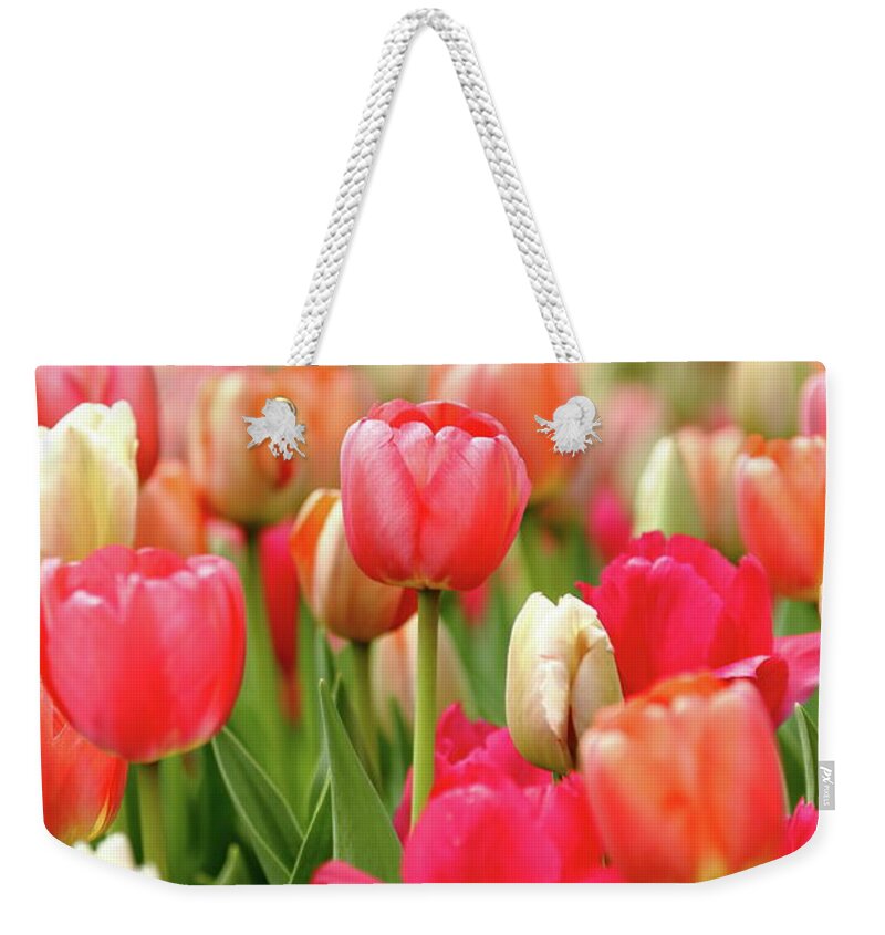 Nature Weekender Tote Bag featuring the photograph Delicate by Lens Art Photography By Larry Trager