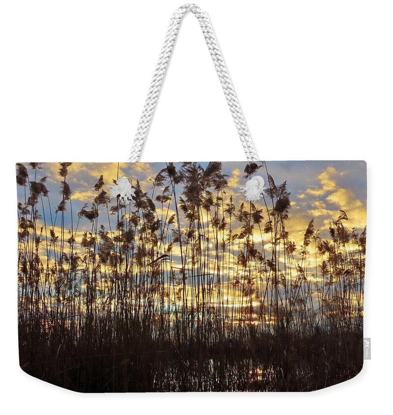 Reeds Weekender Tote Bag featuring the photograph Delicate Natural Fencing at the Water's Edge as Evening Approaches by Linda Stern