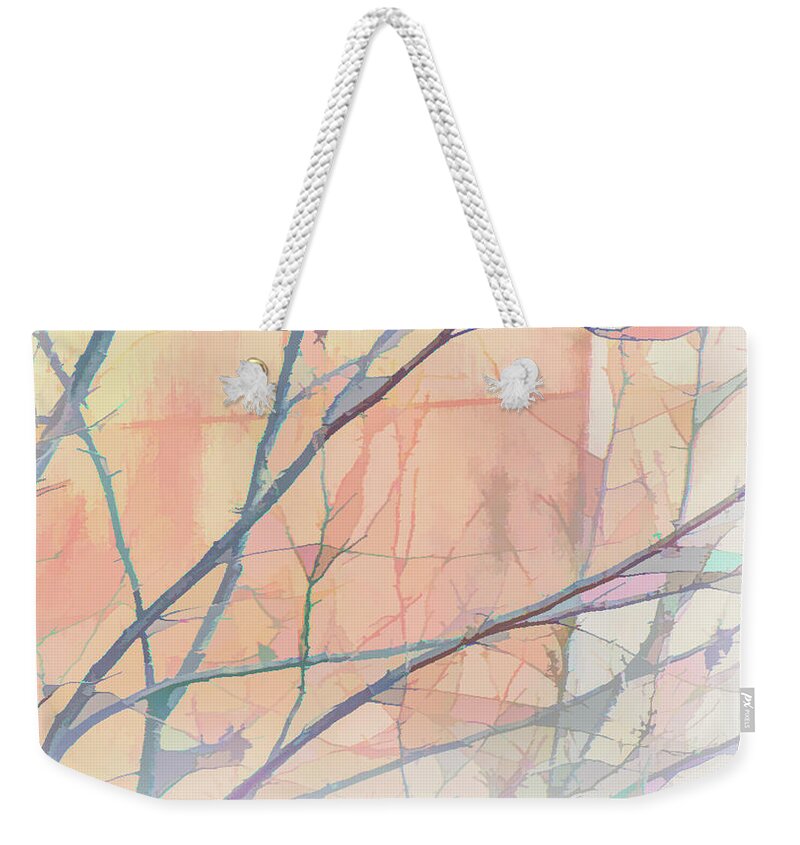 Photography Weekender Tote Bag featuring the digital art Delicate Winter Limbs by Terry Davis