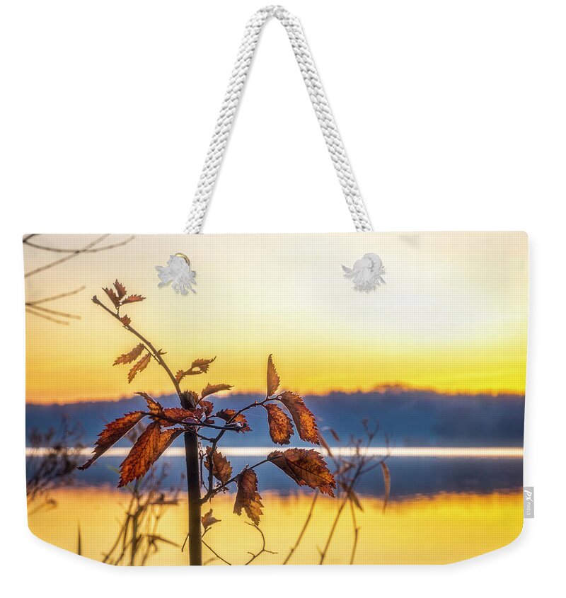 Illinois Weekender Tote Bag featuring the photograph Delight of Brilliance by Todd Reese