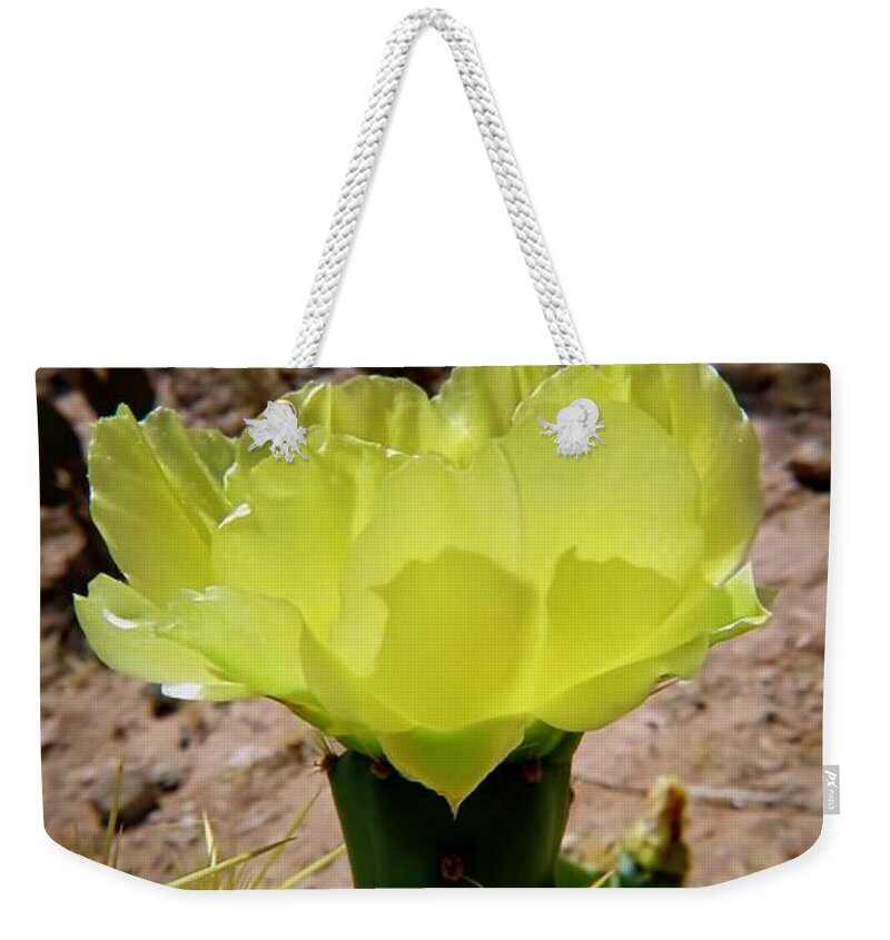 American Southwest Weekender Tote Bag featuring the photograph Desert Bloom by Judy Kennedy