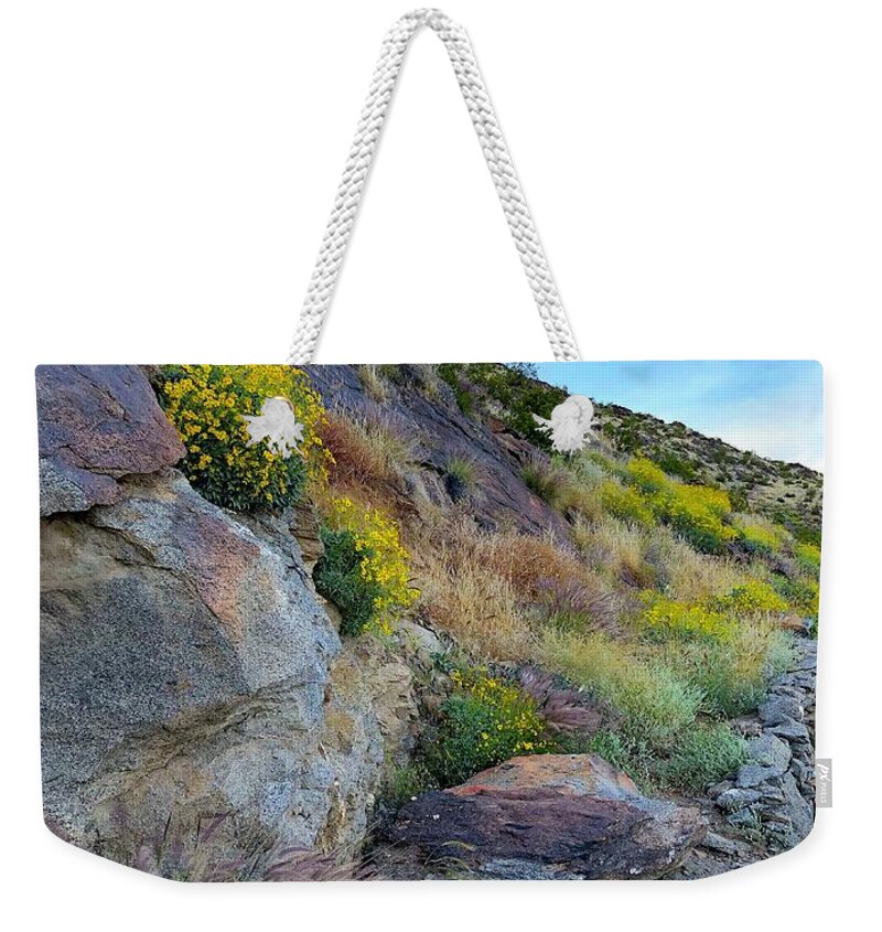Landscape Weekender Tote Bag featuring the photograph Desert Bloom by Leslie Porter