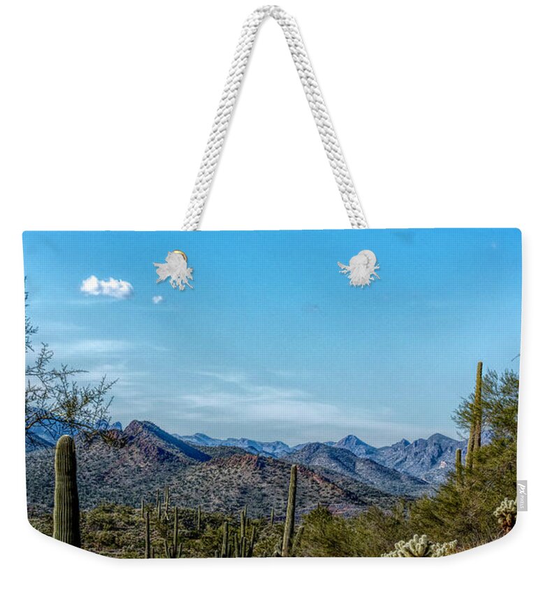 Desert Weekender Tote Bag featuring the photograph Desert Pathway by Pamela Dunn-Parrish