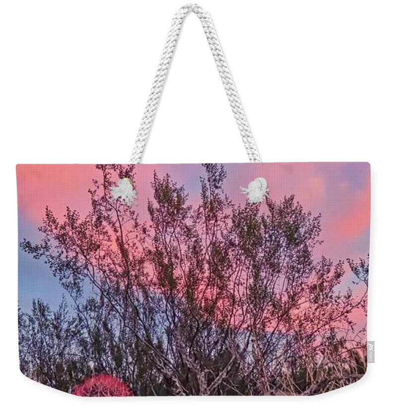 Pink Skies Weekender Tote Bag featuring the photograph Desert Tranquility by Judy Kennedy