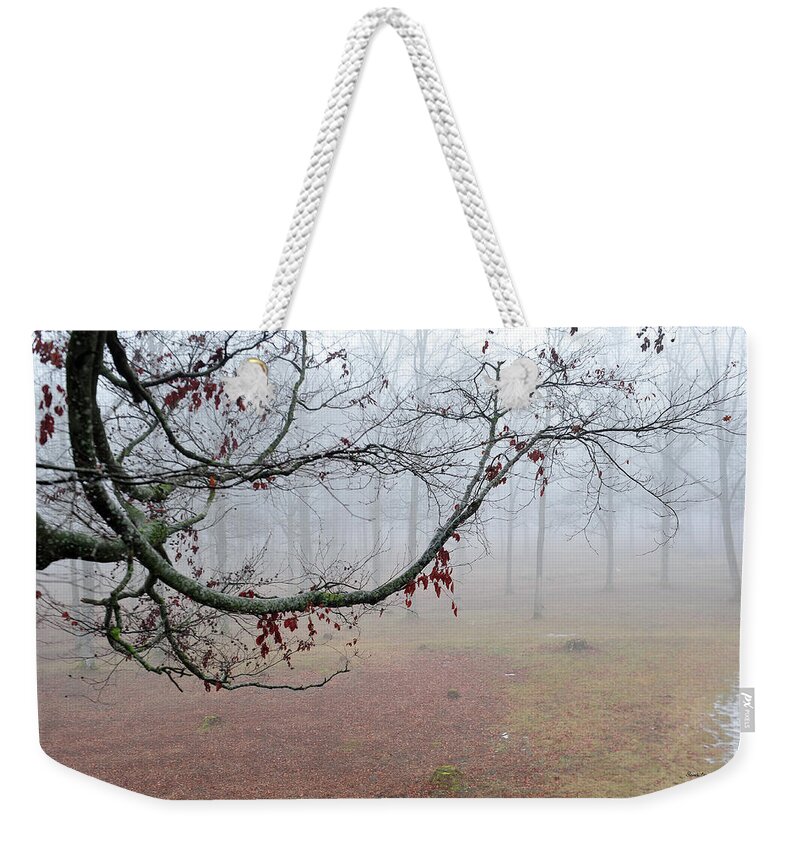 Fog Weekender Tote Bag featuring the photograph Details from Viking Land by Randi Grace Nilsberg