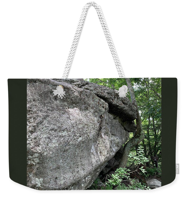 Nc Weekender Tote Bag featuring the photograph Determined Tree by Lee Darnell