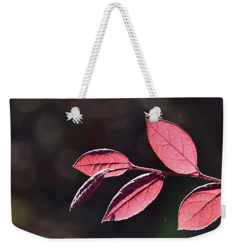 Leaves Weekender Tote Bag featuring the photograph Dew tipped leaves by Linda Brown