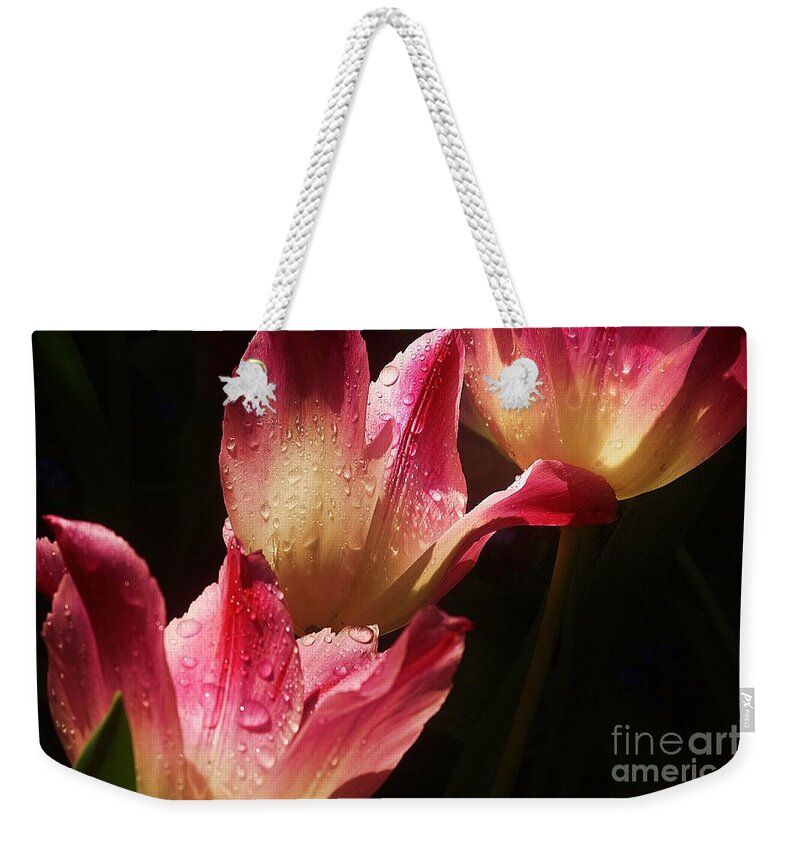 Tulips Weekender Tote Bag featuring the photograph Dewy Petals by Kimberly Furey