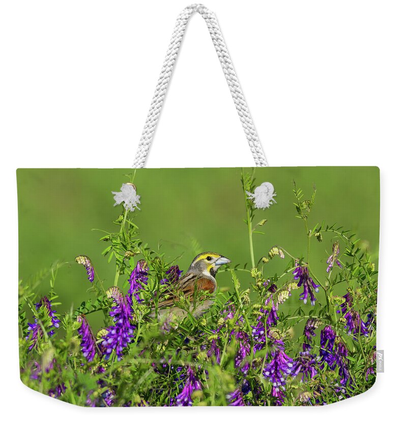 Birds Weekender Tote Bag featuring the photograph Dickcissel - 8256 by Jerry Owens