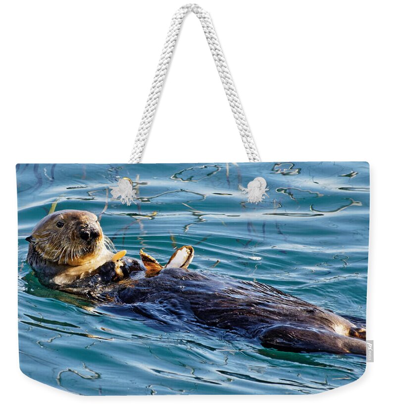 Kj Swan Aquatic Animals Weekender Tote Bag featuring the photograph Dining Al Fresco - Sea Otter by KJ Swan