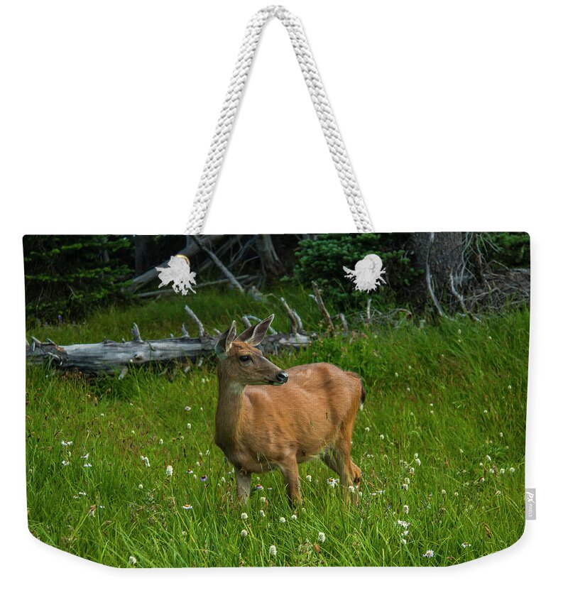 Olympic National Park Weekender Tote Bag featuring the photograph Dinner at Dusk by Doug Scrima