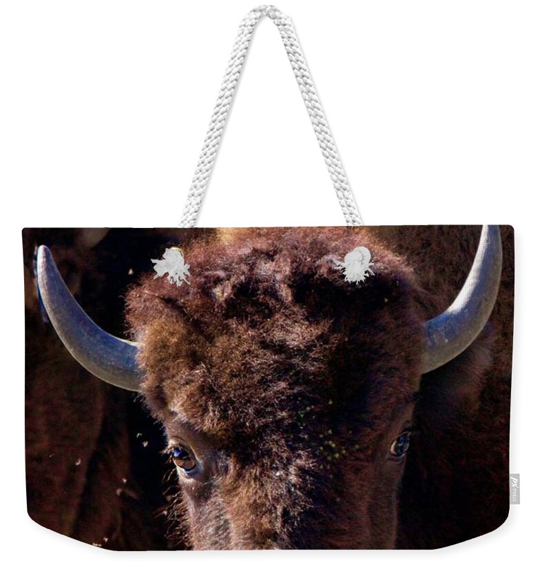 Bison Weekender Tote Bag featuring the photograph Direct look by Yvonne M Smith