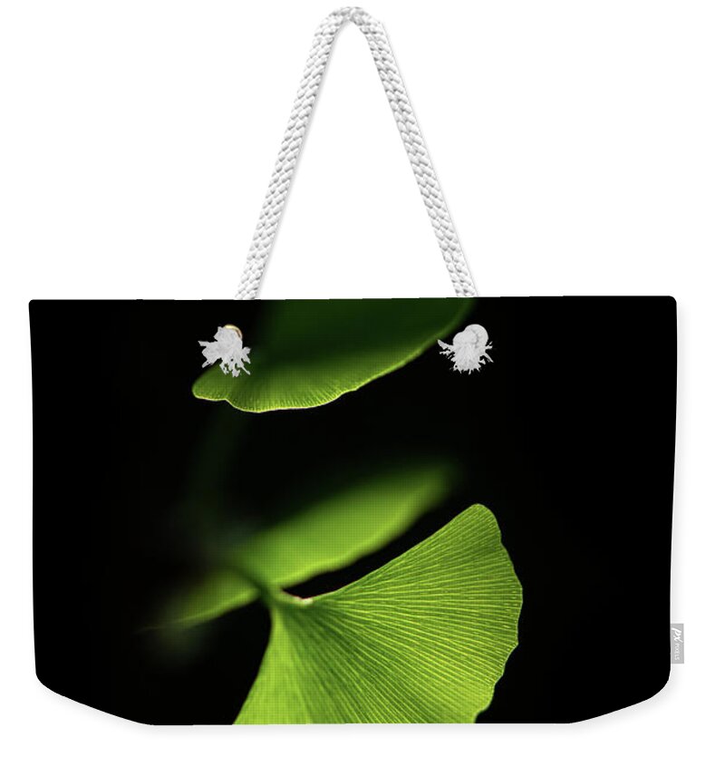 Leaves Weekender Tote Bag featuring the photograph Discretion by Philippe Sainte-Laudy