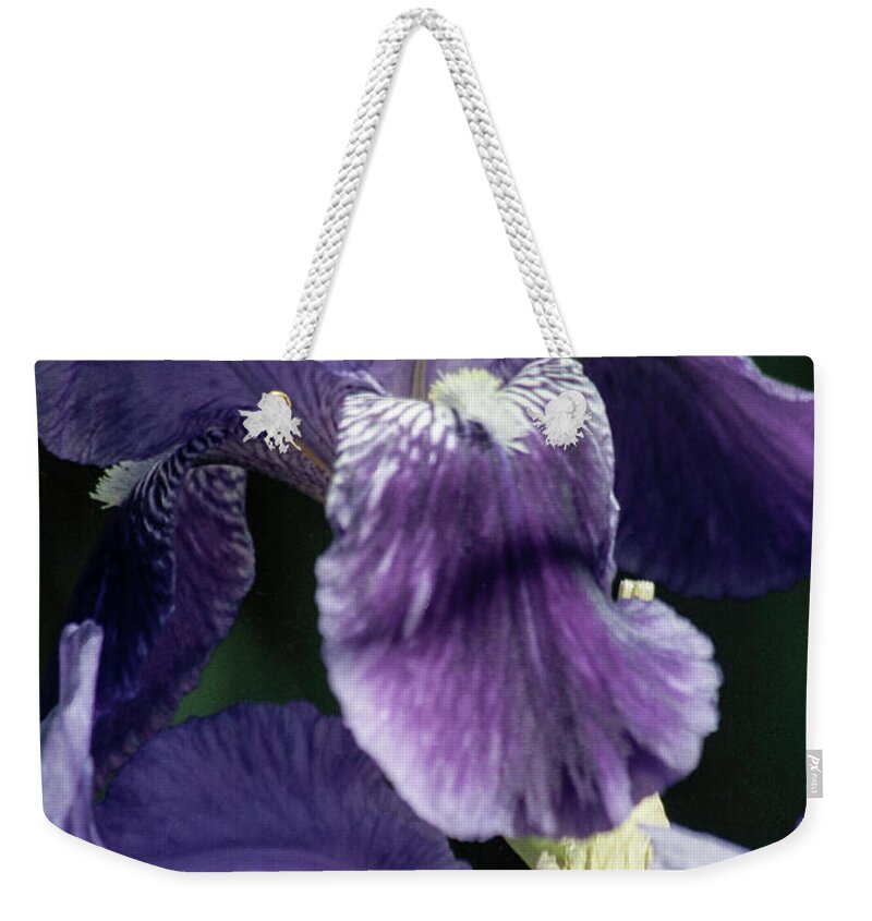 Arizona Weekender Tote Bag featuring the photograph Displaying My Beard by Kathy McClure