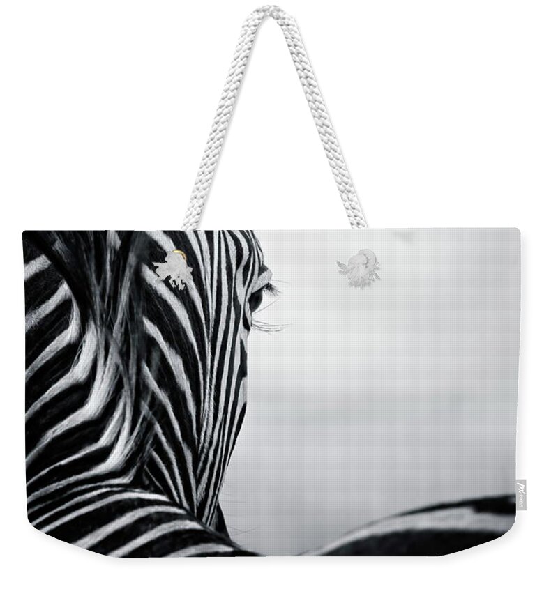 South Africa Weekender Tote Bag featuring the photograph Distant view by Keith Carey