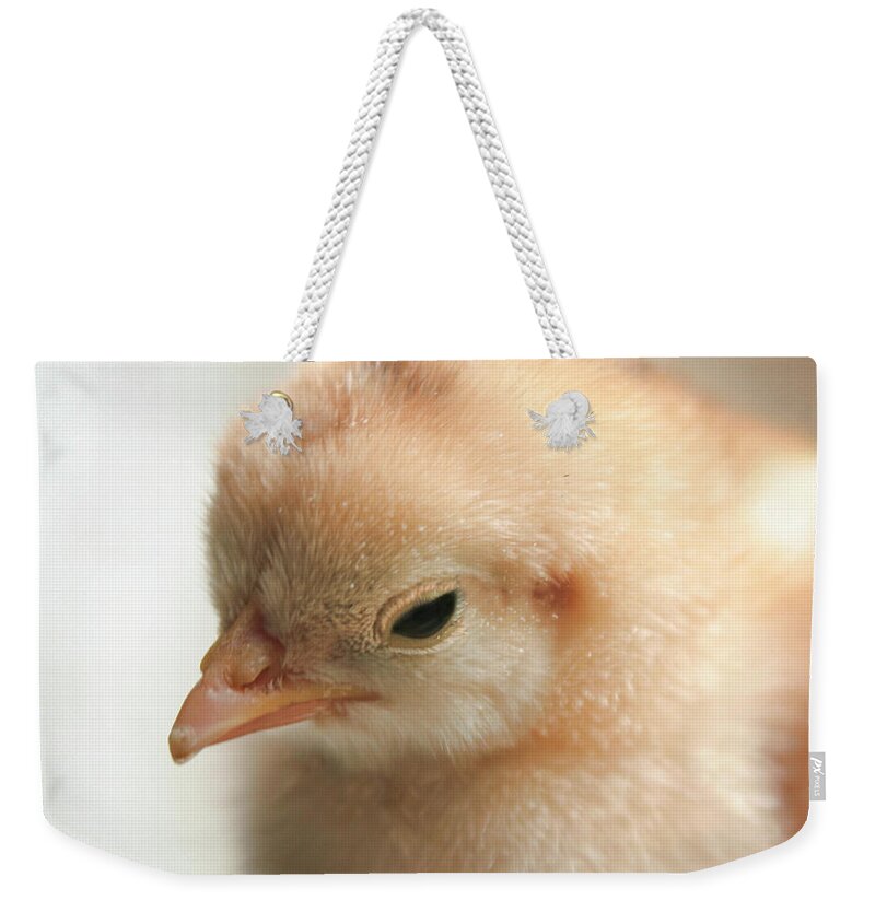 Color Weekender Tote Bag featuring the photograph Dixie Chick by Alan Hausenflock