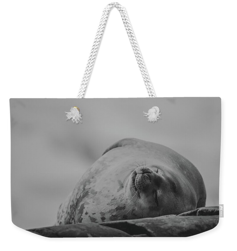 03feb20 Weekender Tote Bag featuring the photograph Do Not Awaken - Makes Me Crabby BW by Jeff at JSJ Photography