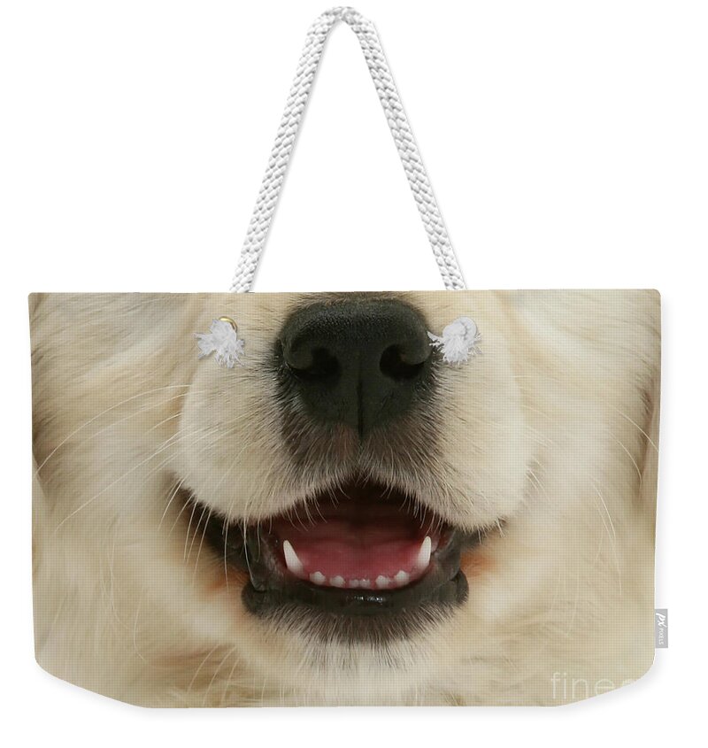  Weekender Tote Bag featuring the photograph Dog 08 by Warren Photographic