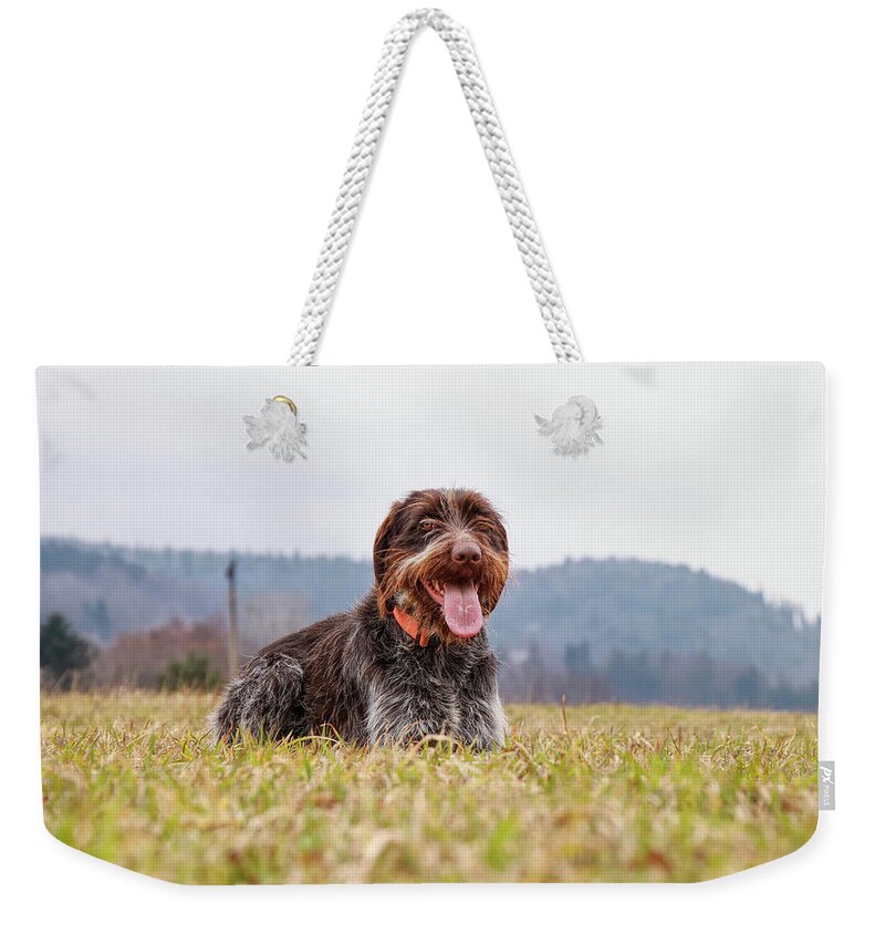 Bohemian Wire Weekender Tote Bag featuring the photograph Bohemian Wire is relaxing by Vaclav Sonnek