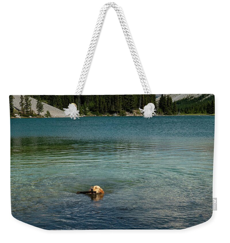Dog Weekender Tote Bag featuring the photograph Dog in Elbow Lake, Alberta by Karen Rispin