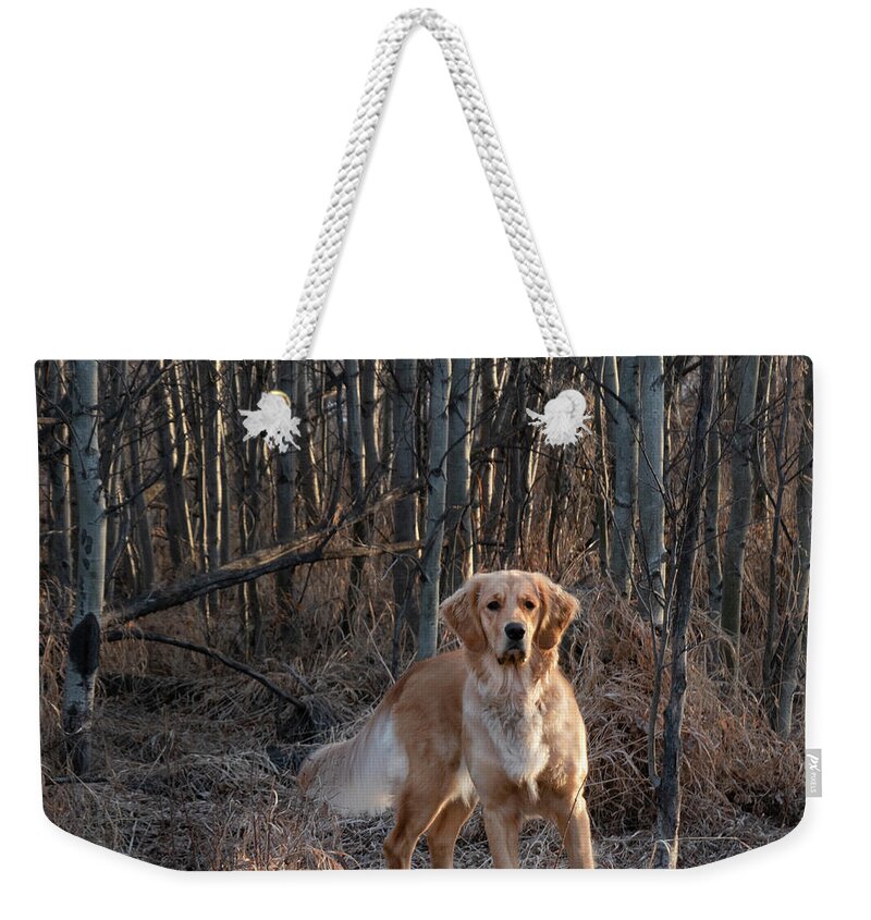 Dog Weekender Tote Bag featuring the photograph Dog In The Woods by Karen Rispin