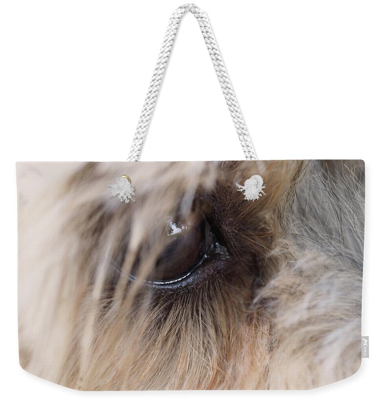 Dog Weekender Tote Bag featuring the painting Dog's eye by Sv Bell