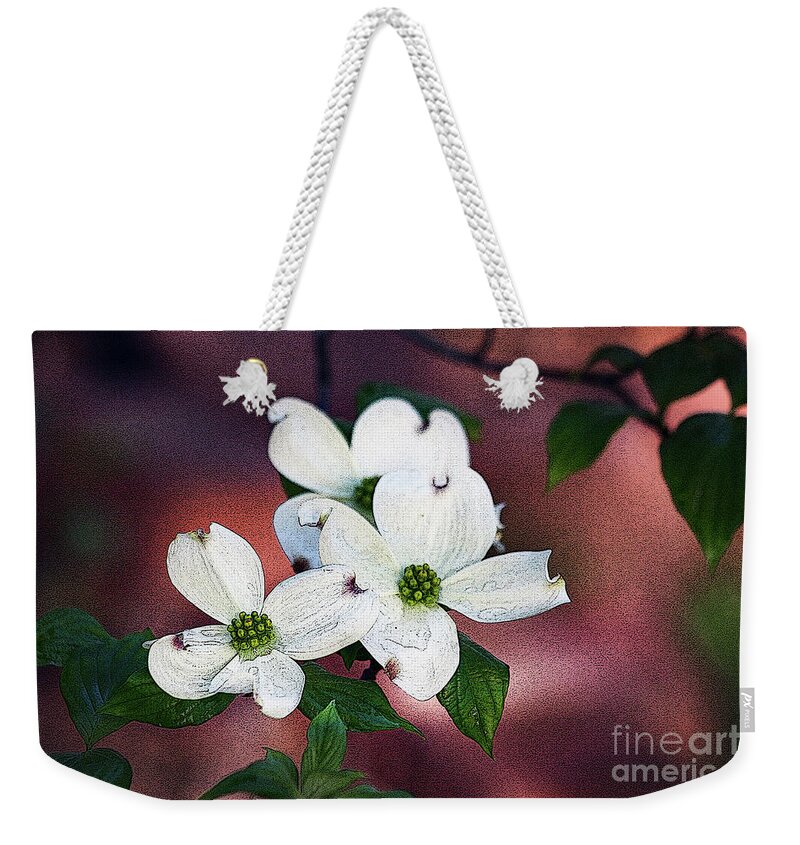 Dogwood; Flower; Blossom; White Flower; Tree; Raindrops; Rain; Water; Red; White; Green; Horizontal; Botanical; Nature; Weekender Tote Bag featuring the digital art Dogwood in Red by Tina Uihlein