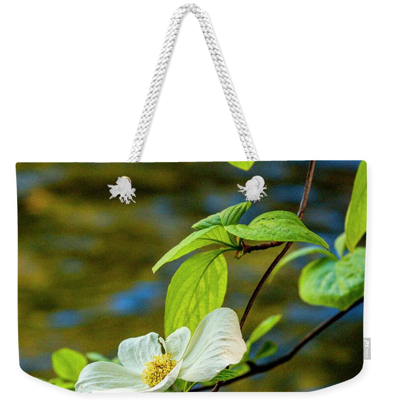 Yosemite Weekender Tote Bag featuring the photograph Dogwood on the Merced by Bill Gallagher