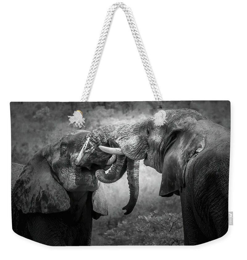 Africa Weekender Tote Bag featuring the photograph Dominant Sparring by Keith Carey