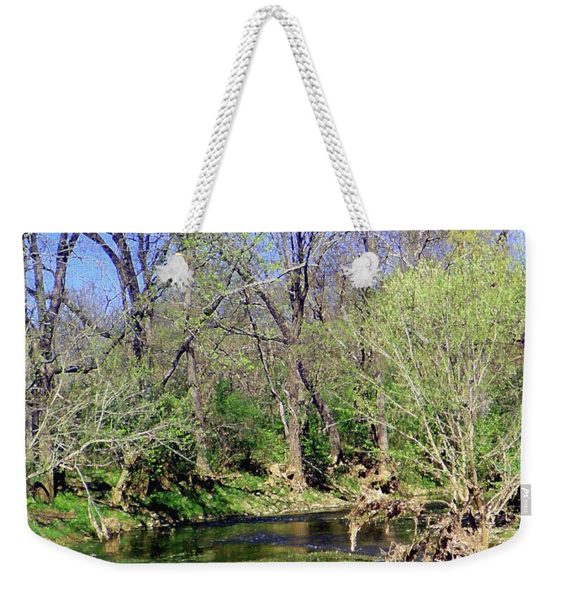  Weekender Tote Bag featuring the photograph Don Fox Park II by Shirley Moravec