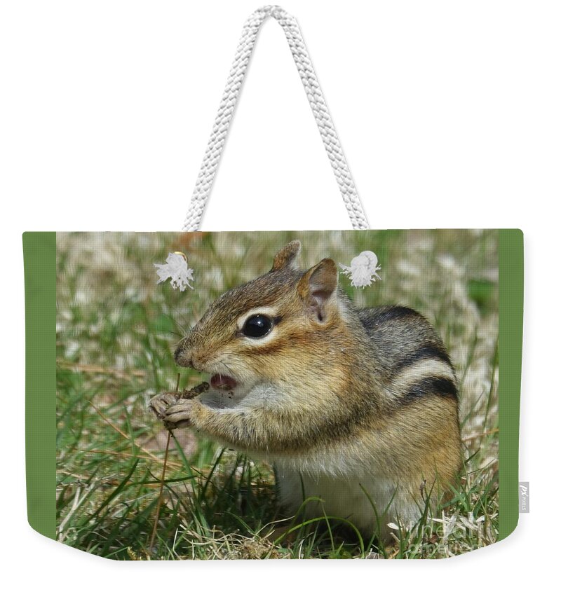 Chipmunk Weekender Tote Bag featuring the photograph Dont You Dare Eat That by Lori Lafargue