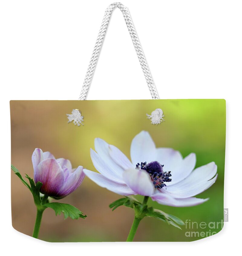 Nature Weekender Tote Bag featuring the photograph Double Anemone by Stephen Melia