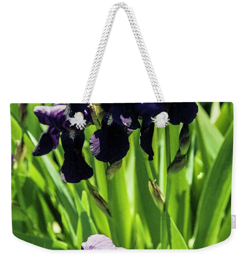 Arizona Weekender Tote Bag featuring the photograph Doubling Up by Kathy McClure