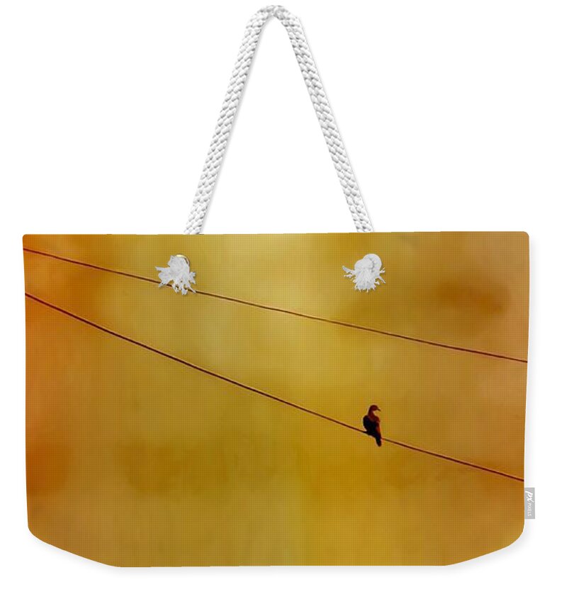 Perching Weekender Tote Bag featuring the photograph Dove on a Wire - Gold by Judy Kennedy
