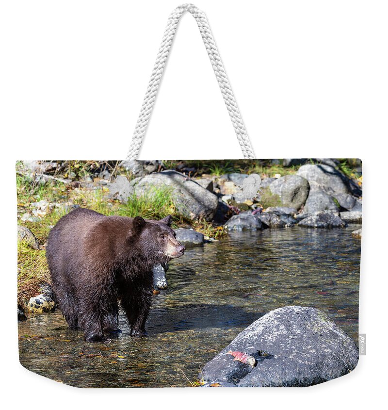 Bear Weekender Tote Bag featuring the photograph Down by the River by Scott Warner