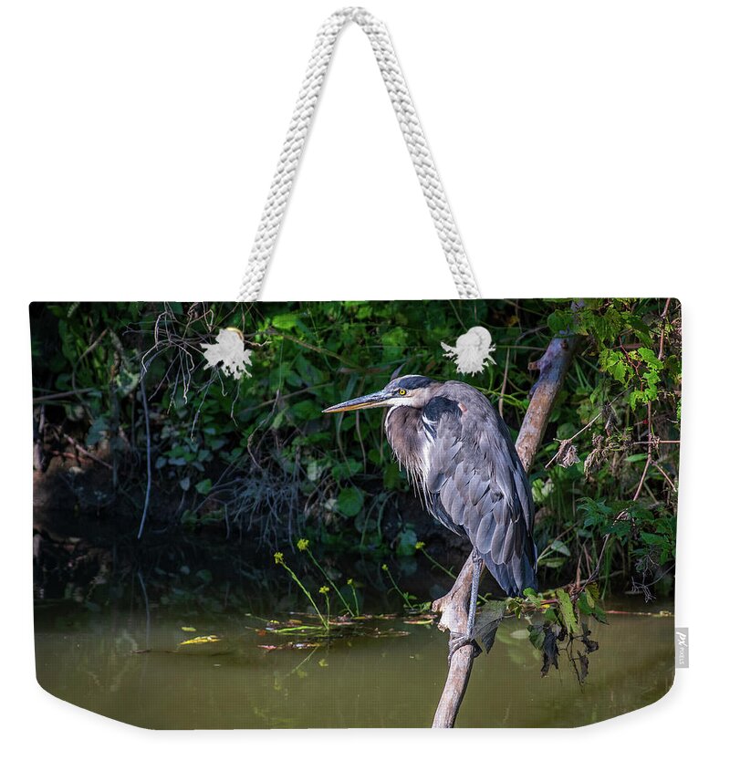 River Weekender Tote Bag featuring the photograph Down by the river by Stephen Sloan