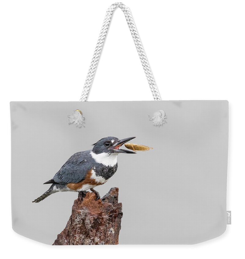 Kingfisher Weekender Tote Bag featuring the photograph Down the Hatch by Jim Miller