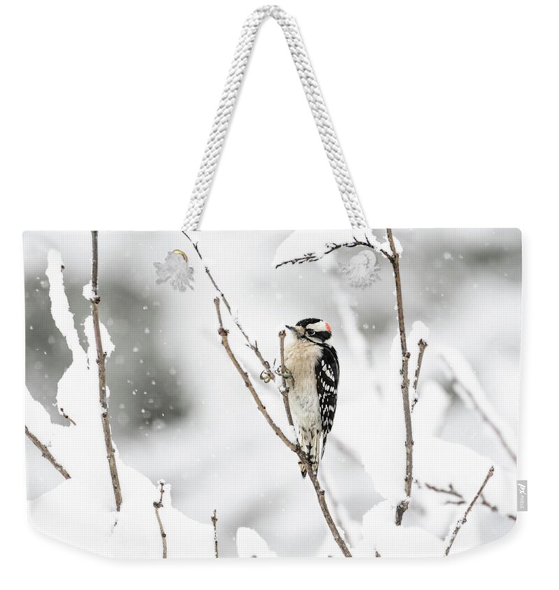 Downy Woodpecker Weekender Tote Bag featuring the photograph Downy In A Snow Storm by Lara Ellis