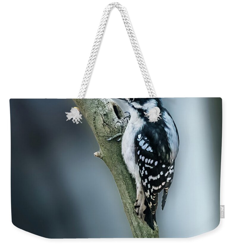 Downy Woodpecker Weekender Tote Bag featuring the photograph Downy Woodpecker by Alexander Image