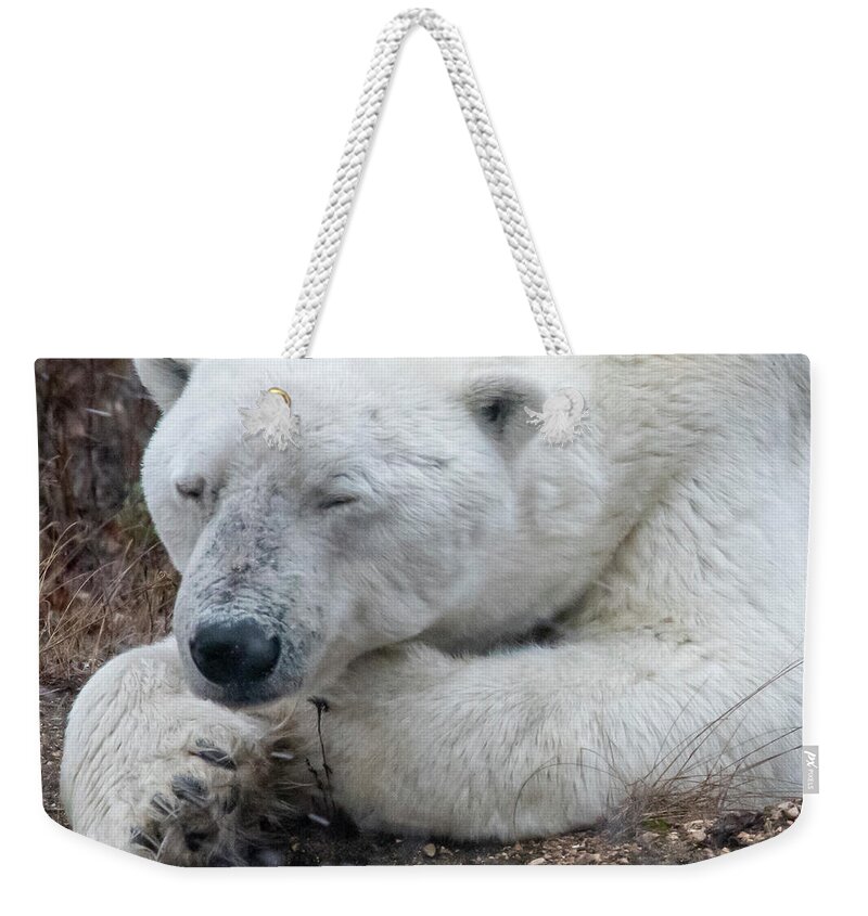 Bear Weekender Tote Bag featuring the photograph Dozing Polar Bear by Mark Hunter