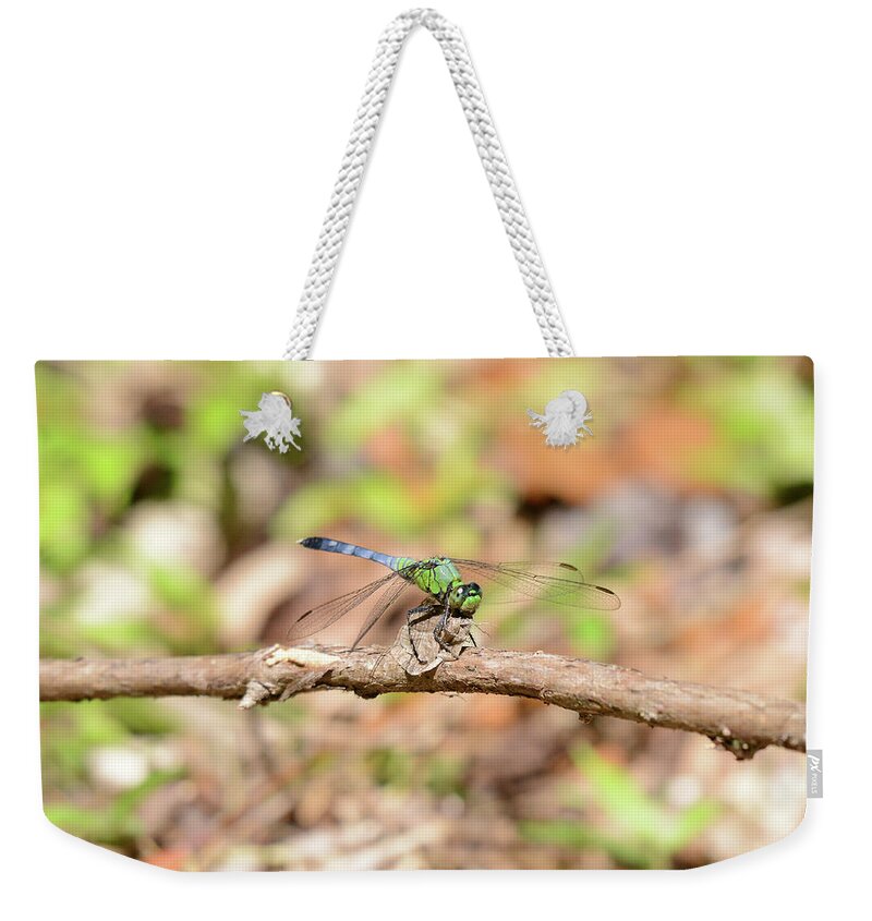  Weekender Tote Bag featuring the photograph Dragon 3 by David Armstrong