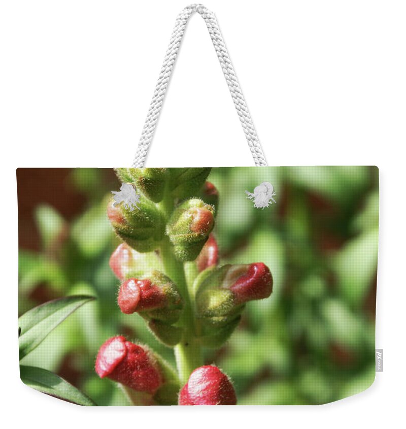  Weekender Tote Bag featuring the photograph Dragon Buds by Heather E Harman