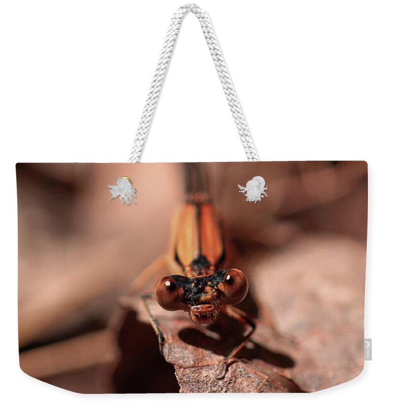 Mountain Weekender Tote Bag featuring the photograph Dragon Fly Doug by Go and Flow Photos