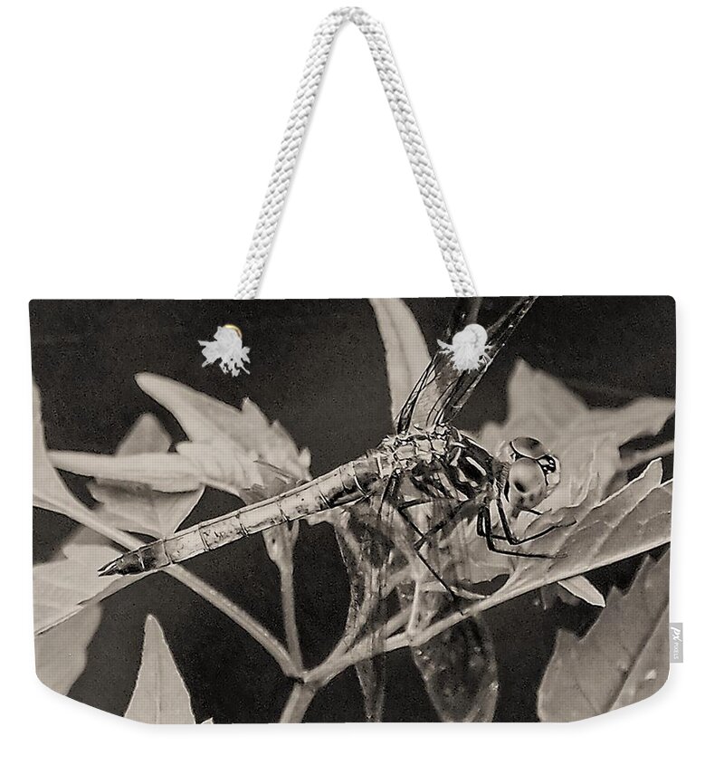 Dragon Fly Leaves Close Black White Weekender Tote Bag featuring the photograph Dragon Fly by John Linnemeyer