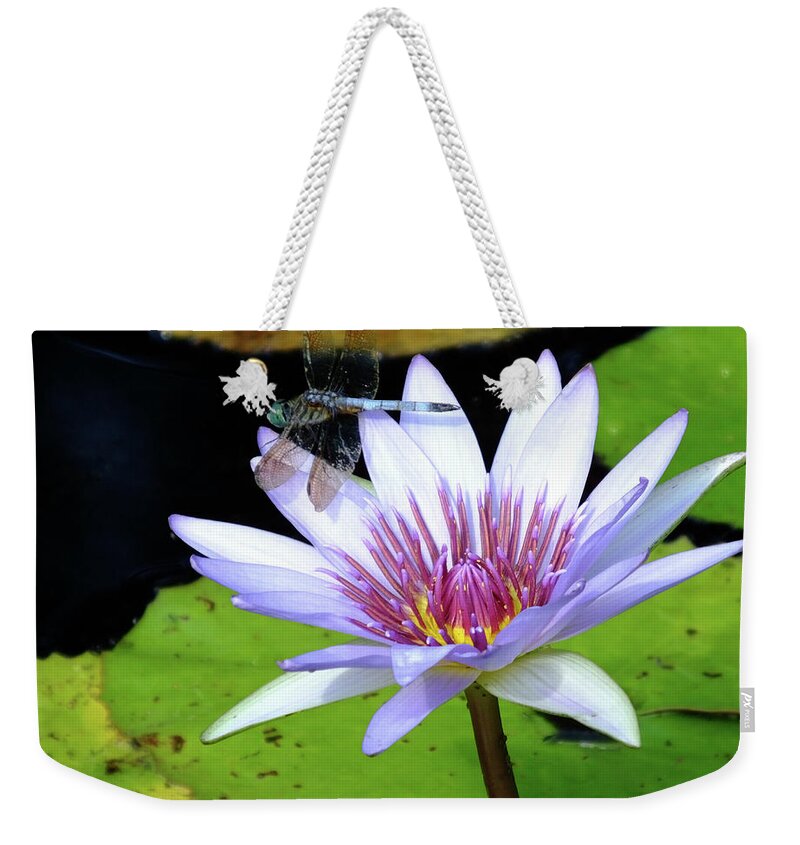 Dragonfly Weekender Tote Bag featuring the photograph Dragon with Lily by Bill Barber