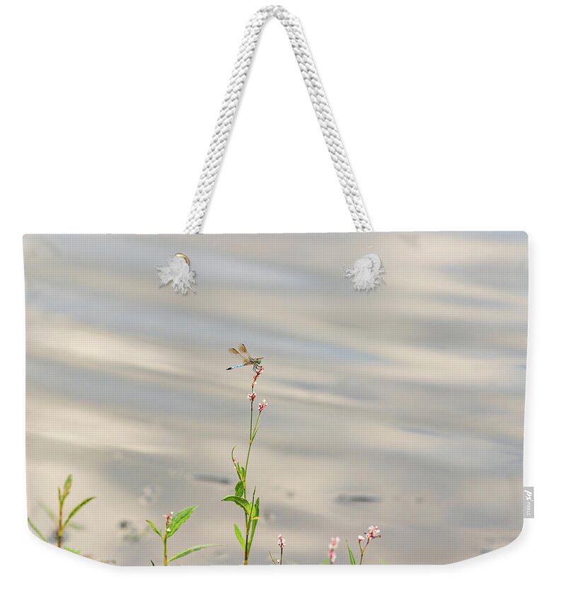 Flower Weekender Tote Bag featuring the photograph Dragonfly at the Lake by Amelia Pearn