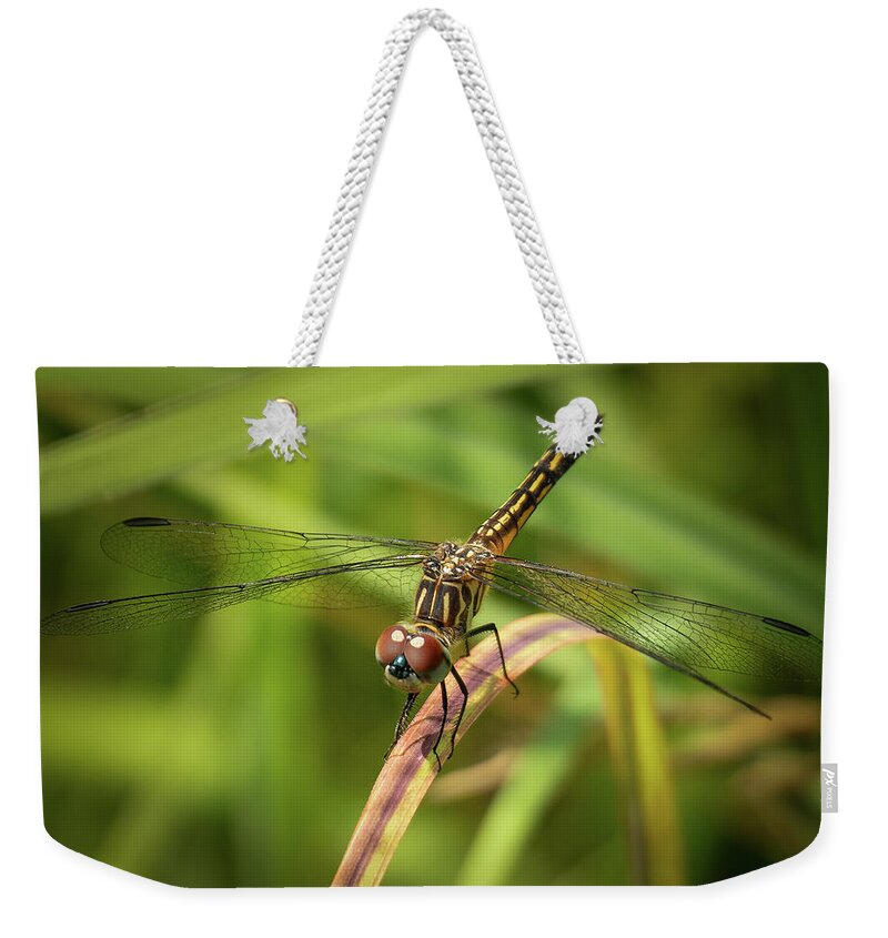 Dragonfly Weekender Tote Bag featuring the photograph Dragonfly by David Morehead